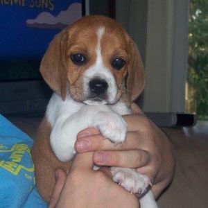 Meet your Posher, Nancy